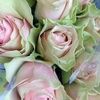 itz_all_4love